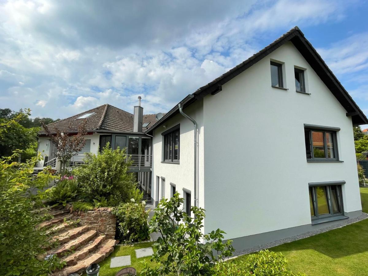 Grüne Oase Am Mausauel Ferienhaus